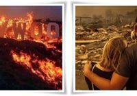 7 Fakta Kebakaran Dahsyat Los Angeles: dari Penjarahan, Korban Tewas hingga Kerugian Fantastis