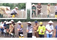 Polres Balangan Dukung Ketahanan Pangan: Tanam Jagung di Lahan Seluas 66 Hektare!
