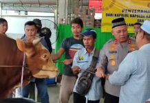 Kapolri Sumbangkan Sapi untuk Haul Abah Guru Sekumpul