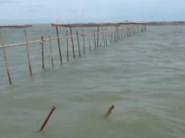 150 Personel Direktorat Polair Polda Metro Jaya Bersama Polda Banten Bongkar Pagar Laut