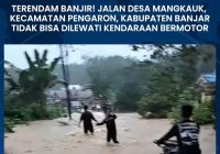 VIDEO Banjir di Jalan di Desa Mangkauk Kabupaten Banjar