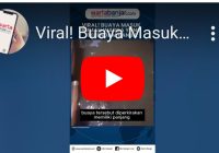 VIDEO Buaya Masuk Rumah Saat Banjir