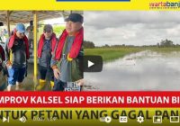 VIDEO- Pemprov Kalsel Siap Berikan Bantuan Benih dan Bibit Untuk Petani yang Terdampak Banjir
