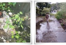 Banjir Tak Kunjung Surut di Gang TVRI! Diduga Sungai Tersumbat Sampah Akibat Kebiasaan Warga