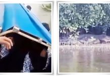 HOROR! 35 Pelajar SMP di Batam Bertemu Buaya Raksasa 10 Meter di Selat Nenek saat ke Sekolah
