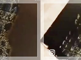 GEMPAR! Video Buaya Besar Bersarang di Bawah Rumah Warga di Kalteng Viral di Medsos