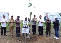 Menteri LH Tanam Pohon di Central Park Batulicin