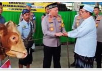Momen 5 Rajab, Kapolda Kalsel Serahkan Sapi ke Dapur Umum Sekumpul Martapura