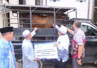 Giliran Pemkab Banjar Sumbang 2 Ekor Sapi untuk Haul ke-20 Abah Guru Sekumpul