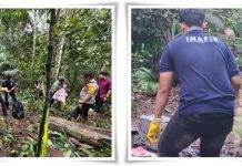 Tengkorak Pemuda Ditemukan di Hutan Hantakan, Polisi HST Pastikan Bukan Kasus Pembunuhan