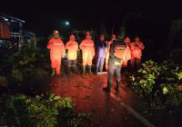 Dalam Sehari, Tim BPBD Kabupaten Kotabaru Tanggulangi 5 Bencana Alam Akibat Cuaca Ekstrem