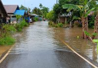 Banjir Makin Parah, Banyak Rumah Warga Desa Jingah Habang Ilir Terendam Air