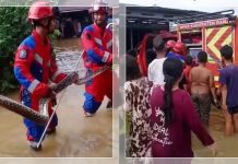 Banjir Kalsel Picu Serbuan Hewan Liar ke Permukiman, Damkar Kalsel Terima Sejumlah Laporan