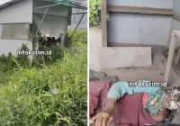 Miris, Seorang Wanita Telantar Hingga Alami Dehidrasi di Sebuah Gubuk Dekat Bundaran KB Kotim