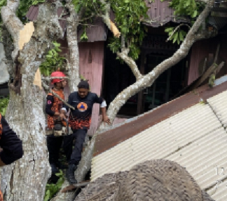 Angin Kencang di HST Tumbangkan Pohon, Timpa Rumah Warga di Desa Rantau Bujur