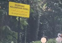 Ini Sanksi Terhadap Pengunjung Taman Safari Bogor yang Turun dari Mobil