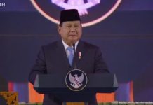 Mantan-mantan Presiden RI Bakal Masuk Struktur di Danantara, Ini Kata Rosan Roesani
