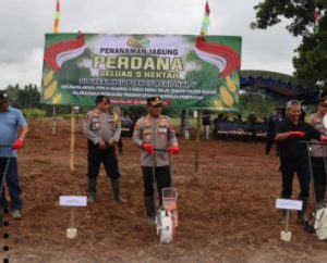Kapolres Banjar, AKBP M Ifan Hariyat melakukan penanaman perdana jagung di Danau Salak. Mataraman, Rabu. (wartabanjar.com - Ist. Humas Polres Banjar)