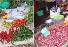 Harga Bahan Pokok di Pasar Tradisional Tala Jelang Ramadan: Cabai Melonjak, Ayam Turun