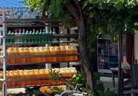 Identitas Pria Korban Tewas Laka Lantas Truk vs R2 di Anjir Km. 20 Batola