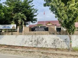 Kurangi Risiko Kematian Ibu dan Bayi, Dinkes Balangan Perkuat Edukasi Ibu Hamil