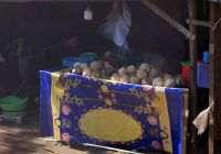 Harga Kelapa di Kabupaten Tanah Laut Naik Jelang Bulan Ramadhan