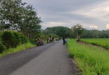 Pesona Jalan Gampa di Kabupaten Balangan: Pemandangan Sawah Luas dan Spot Mancing Andalan Warga Saat Menunggu Waktu Berbuka Puasa