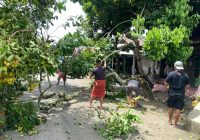 Akses Jalan di Desa Tebing Tinggi Tertutupi Pohon Tumbang