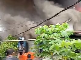 BREAKING NEWS Kebakaran di Gunung Mandar Kotabaru, BPK Sulit Cari Sumber Air