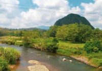 Gunung Hantanung: Surga Tersembunyi dengan Panorama Spektakuler di Balangan!