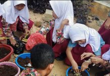 SDN Saring Sungai Bubu Lakukan Berbagai Persiapan Demi Raih Gelar Sekolah Adiwiyata Kabupaten Tanah Bumbu