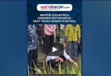 Menteri Zulhas Rela Kendarai Motor Matic Saat Tinjau Sawah di Batola