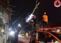 Pohon Tumbang di Alalak Utara Timpa Kabel Listrik, Kabel Internet dan Atap Rumah Warga