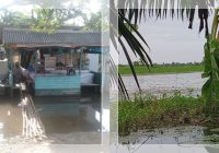 Banjir di Kurau Mulai Surut, Tapi Petani Masih Tak Bisa Garap Sawah!