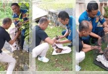 Tim Damkar Banjarbaru Berhasil Selamatkan Kucing yang Tertancap Besi Pondasi Bangunan