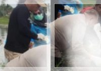 Terungkap! Penyebab Nenek Tewas Mengambang di Sawah Tala, Diduga Epilepsi Kambuh saat Memancing