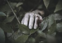 Pria Tewas Diduga Tersetrum di Handil Gayam