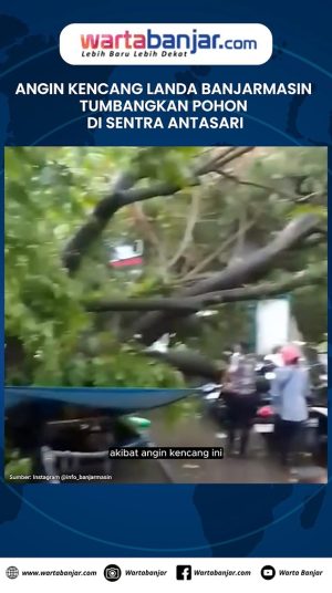 Angin Kencang Landa Banjarmasin Tumbangkan Pohon di Sentra Antasari