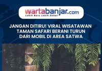 Jangan Ditiru! Viral Wisatawan Taman Safari Berani Turun dari Mobil di Area Satwa