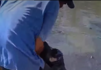 Geger, Perempuan Menceburkan Diri di Sungai Jalan A Yani Km 3