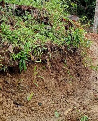 Tiga Desa di Sambung Makmur Kabupaten Banjar Alami Tanah Longsor
