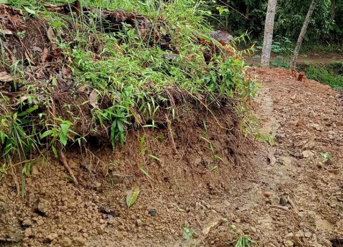 Tanah longsor di wilayah Kecamatan Sambung Makmur membuat jalan tertutup dan mengganggu aktivitas warga. (wartabanjar.com - Ist. MC Banjar)