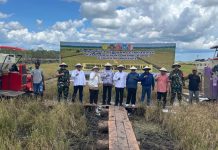 Program Cetak Sawah di Merauke Catat Sejarah, Warga Kaliki Gembira Sambut Panen Raya untuk Pertama Kalinya
