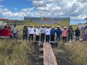 Panen perdana di lahan cetak sawah di Desa Kaliki, Distrik Kurik, Kabupaten Merauke, Provinsi Papua Selatan. (wartabanjar.com - Ist. Kementan)