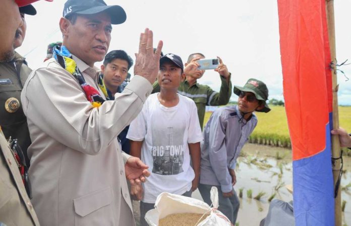 Mentan Amran Sulaiman ke Maluka Baulin, Tanah Laut. (Istimewa)