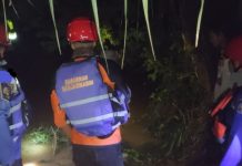 Basarnas Banjarmasin Cari Korban Diterkam Buaya di Desa Bakau Kotabaru Hingga Malam