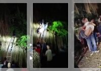 HIII SEREM! Pria di Banten Hilang 3 Hari Ditemukan di Atas Pohon Beringin, Anehnya Tim Penolong dan Korban Terjatuh