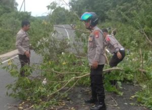 Pos Pam Ops Ketupat Intan 2025 Polres Banjar dipimpin Ipda Budi H bersama 3 personel membersihkan pohon yang tumbang. (wartabanjar.com - Ist. Humas Polres Banjar)