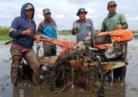 BPP Tatah Makmur dan Ponpes Ishlahul Aulad Bersinergi Kembangkan Sawah Pesantren