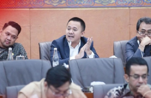 Anggota Komisi VI DPR RI Mufti Anam